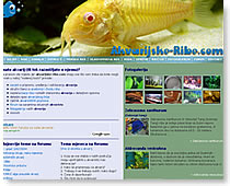 www.akvarijske-ribe.com